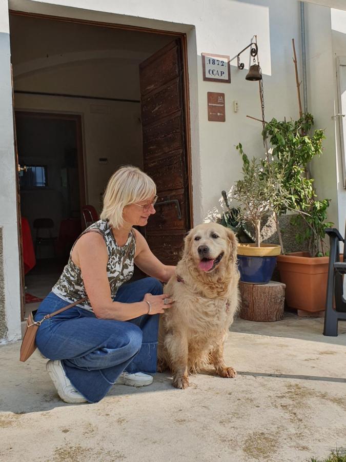Il Casolare Del Medio Olona
