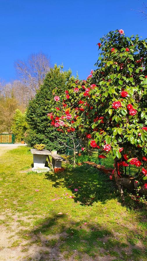 Bed and breakfast Il Casolare Del Medio Olona Fagnano Olona